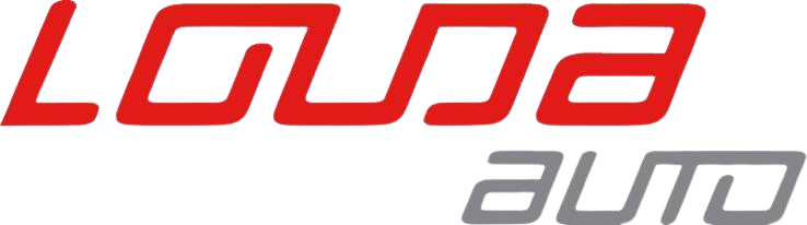 logo1